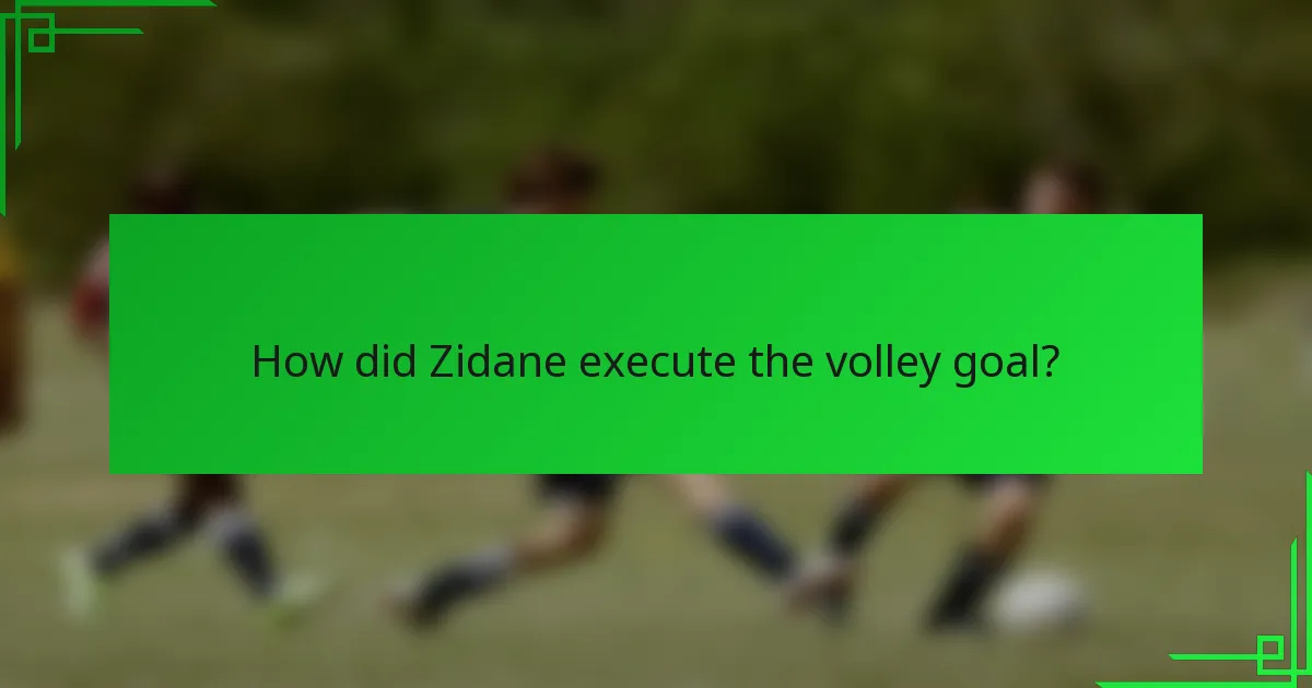 How did Zidane execute the volley goal?